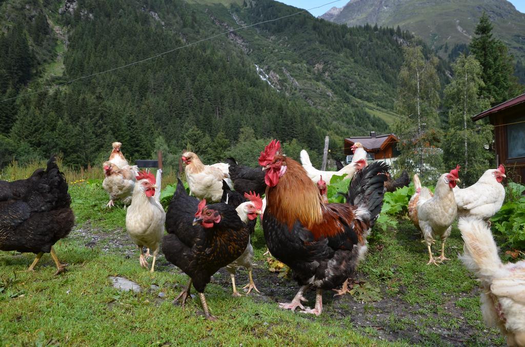Appartementhaus Naturquell Sankt Leonhard im Pitztal Bagian luar foto